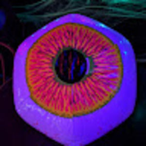 Meet your Posher, Witch